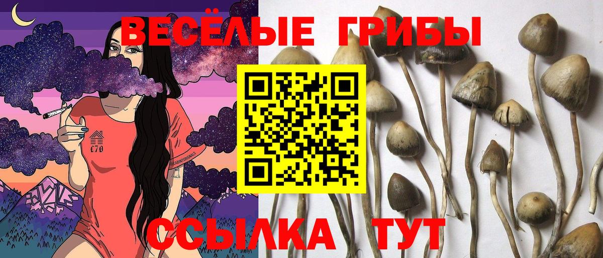 Галлюциногенные грибы GOLDEN TEACHER Углич