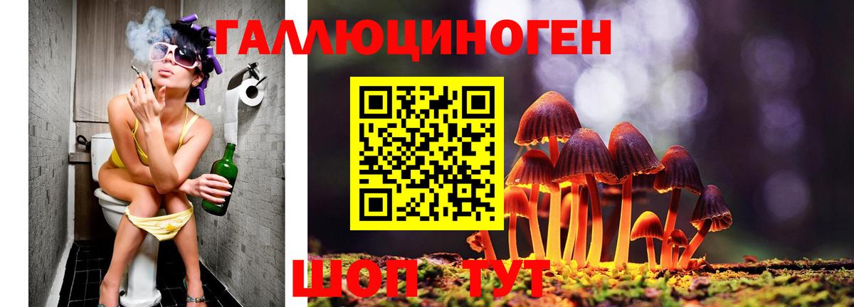 Псилоцибиновые грибы MAGIC MUSHROOMS  Вход с VPN  Углич  магазин  наркотиков  Галлюциногенные грибы Psilocybe 