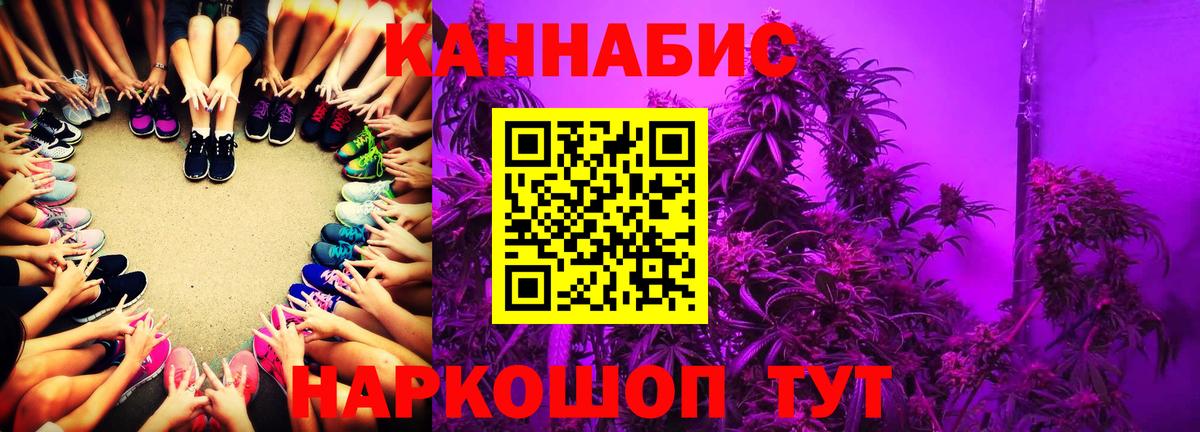 Каннабис сатива  Вход с VPN  Углич  Бошки марихуана планчик 